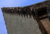  B005376croofm